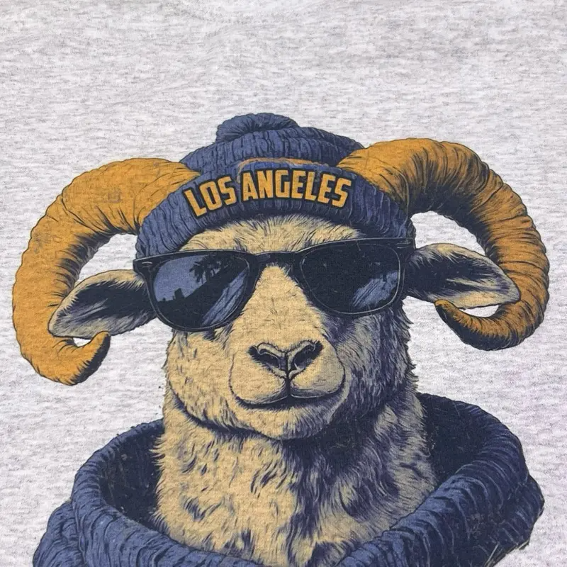 Hometown City Spirit Animal Football Graphic T-Shirt / Sweatshirt / Hoodie