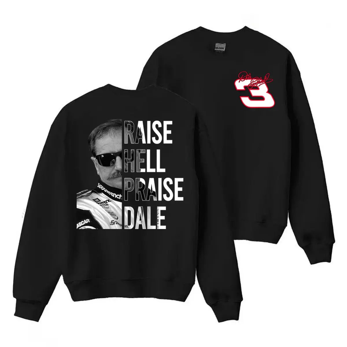 Raise Hell Praise Dale Dale Earnhardt 03 NASCAR Graphic T-Shirt / Sweatshirt / Hoodie