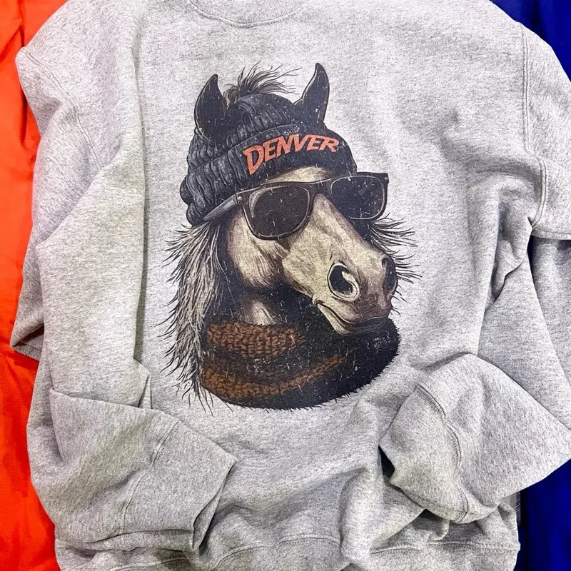 Hometown City Spirit Animal Football Graphic T-Shirt / Sweatshirt / Hoodie